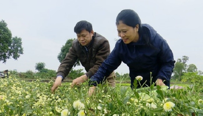 chinh-sach-dat-dai-la-don-bay-lon-cho-kinh-te-khu-vuc-trang-trai-gia-trai