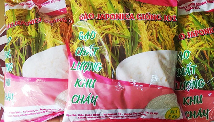 phat-huy-hieu-qua-chuoi-gao-chat-luong-khu-chay