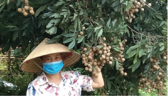huyen-hoai-duc-phat-trien-kinh-te-trang-trai-cho-thu-nhap-cao