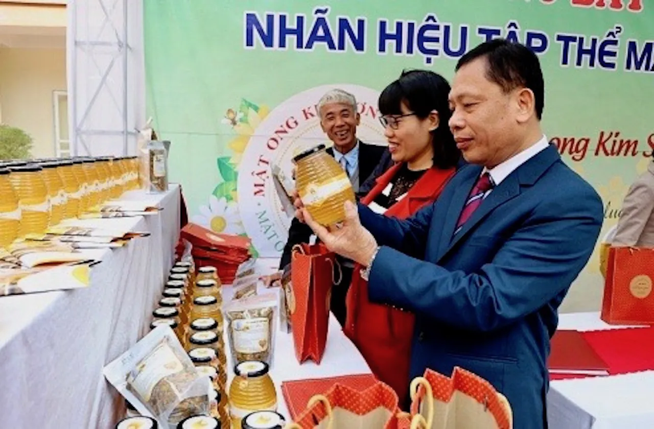 mat-ong-kim-son-tinh-tuy-xu-doai