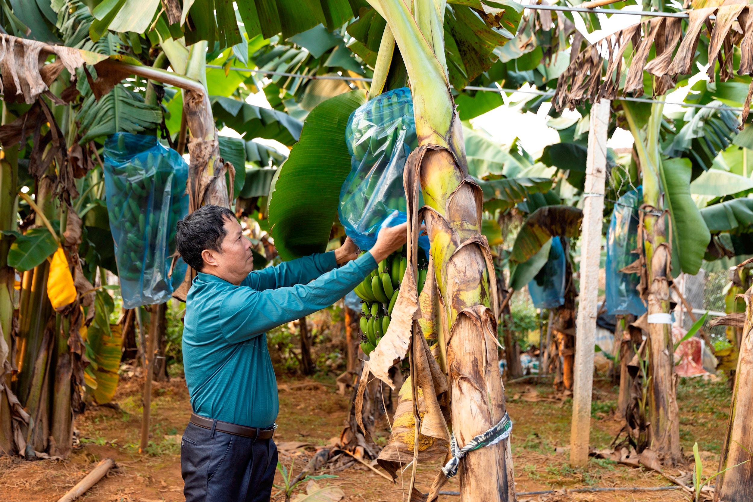 xa-bat-bat-danh-thuc-hon-que-viet-tiep-khat-vong-tu-nhung-san-pham-ocop