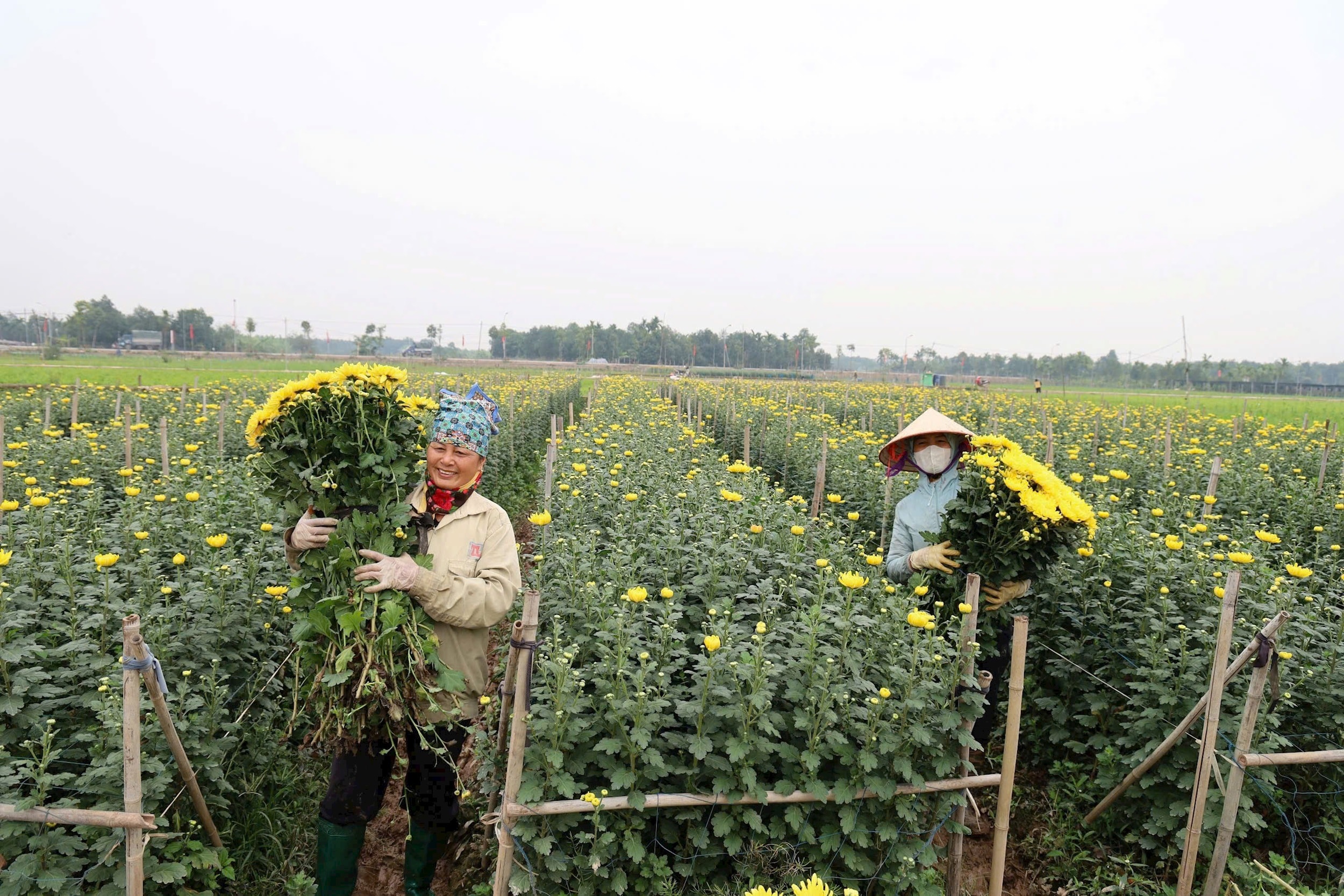 gop-tri-tue-xay-dung-de-an-phat-trien-kinh-te-xa-hoi-xa-hat-mon