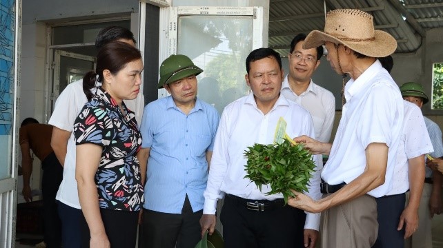 nong-dan-ha-noi-lam-giau-nho-trong-rau-an-toan