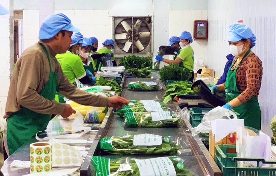 mo-rong-thi-truong-on-dinh-dau-ra-nong-san