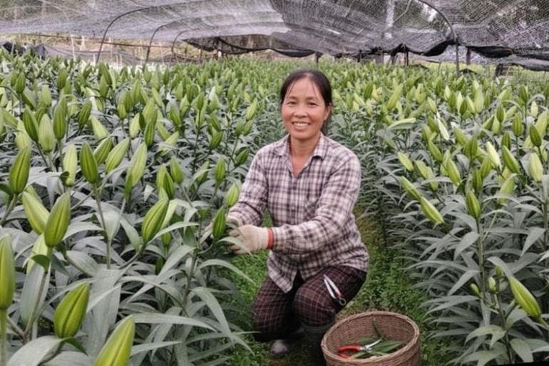 buoc-tien-ve-san-xuat-nong-nghiep-o-thuan-an