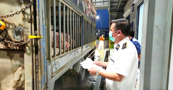 ha-noi-lap-doan-kiem-tra-quan-ly-giet-mo-tai-126-xa-phuong