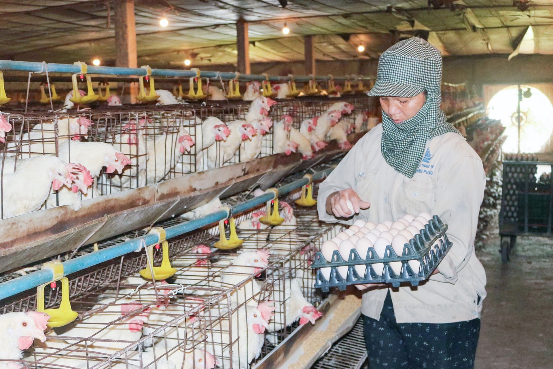 chu-dong-nguon-cung-nong-san