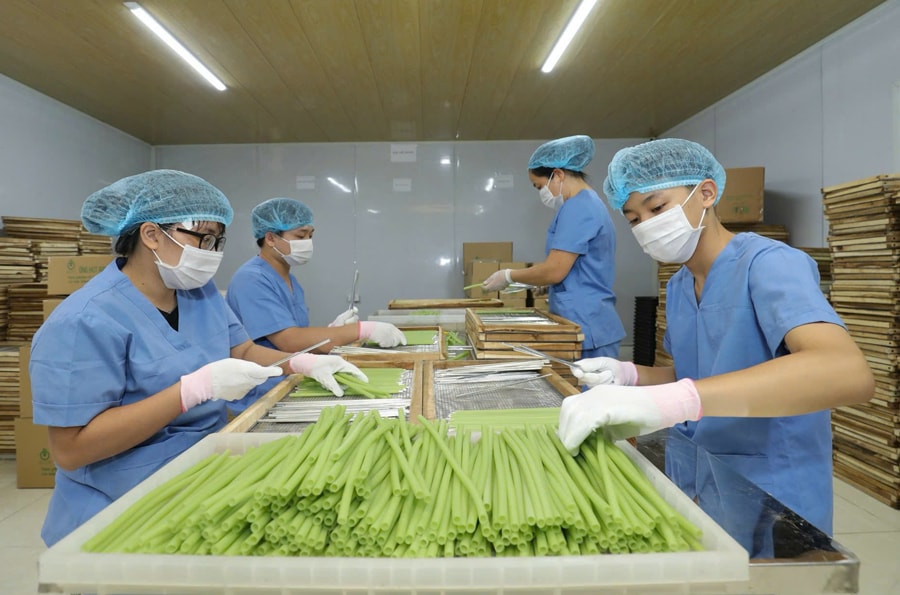 ket-noi-chuoi-nguyen-lieu-nong-san-nen-tang-vung-chac-cho-xuat-khau