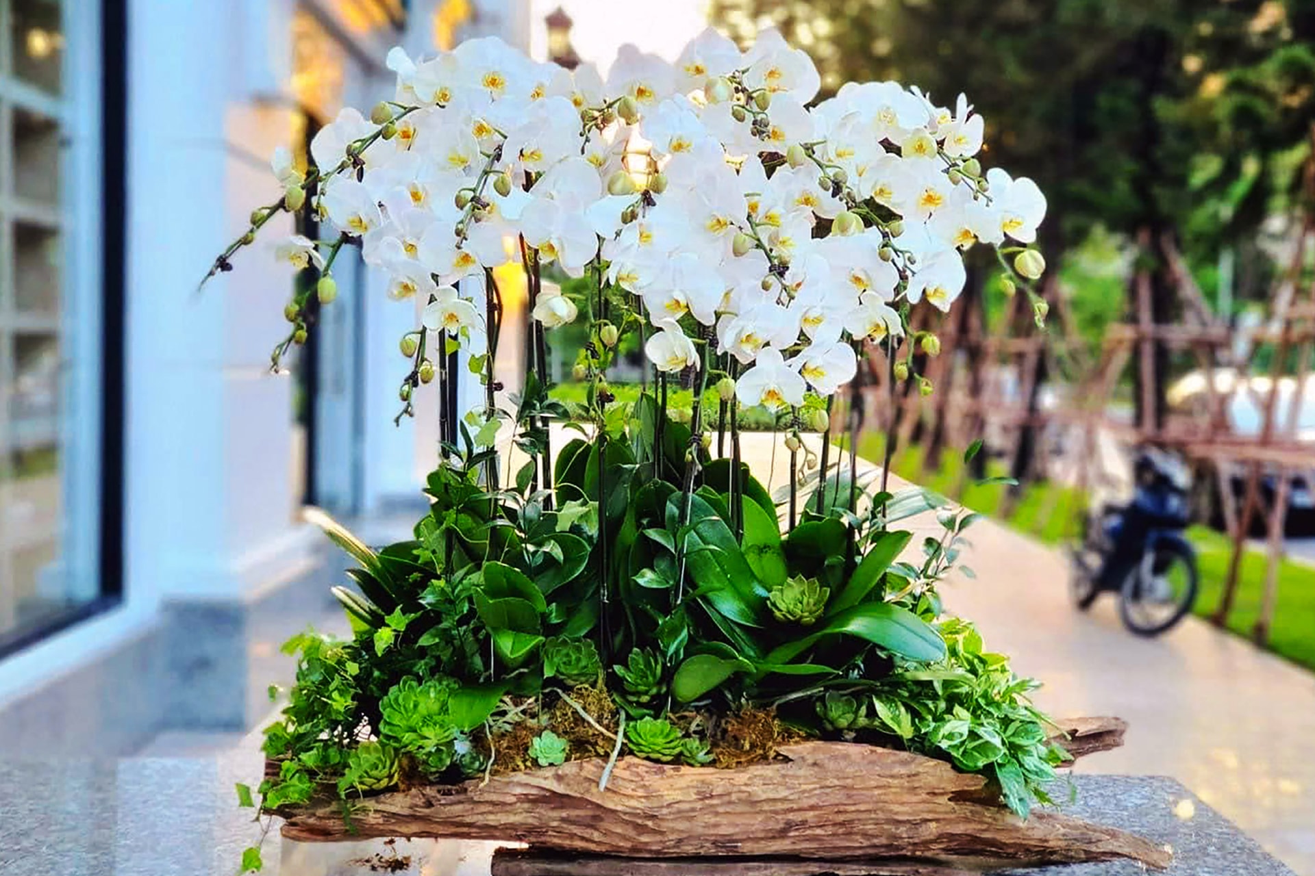 nguoi-dua-sac-lan-thuy-huong-ra-pho