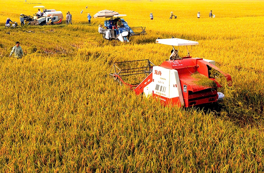 phuc-thinh-xay-dung-nen-nong-nghiep-xanh