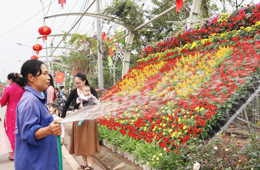 ron-rang-lang-hoa-ven-song-tich