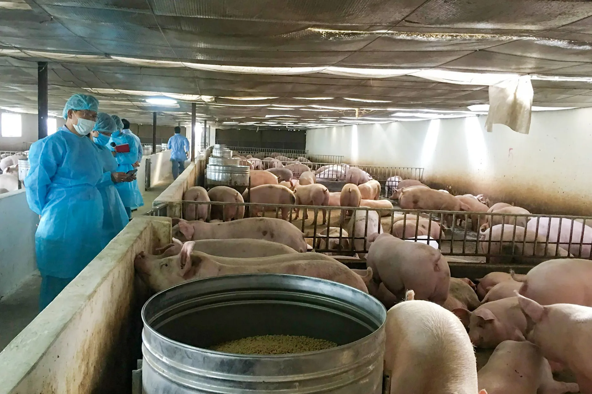 ha-noi-phat-trien-trang-trai-an-toan-ben-vung