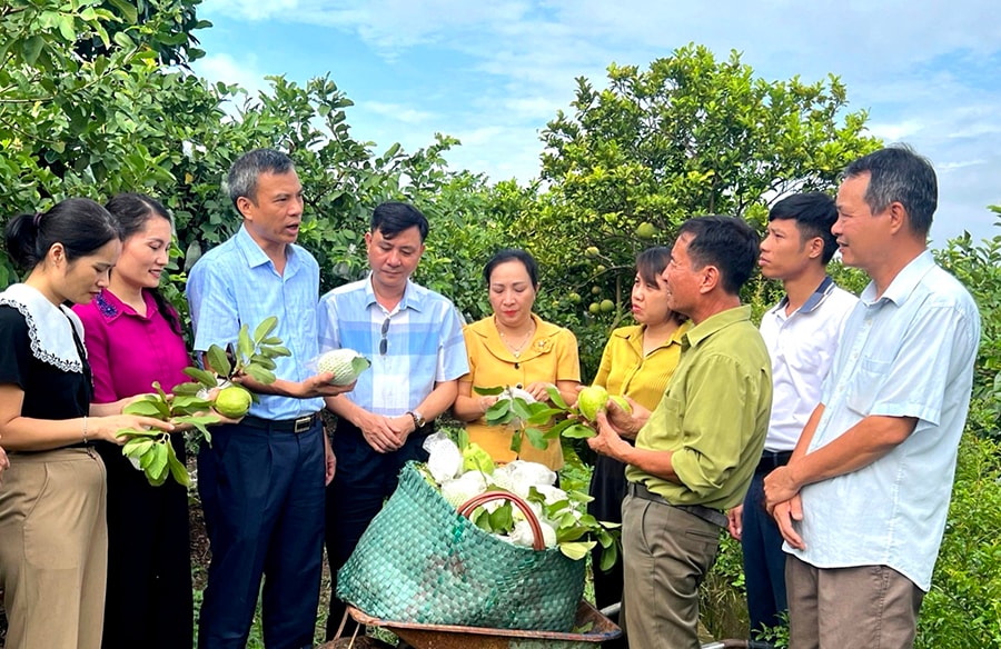 nong-dan-hoai-duc-tich-cuc-san-xuat-kinh-doanh-gioi