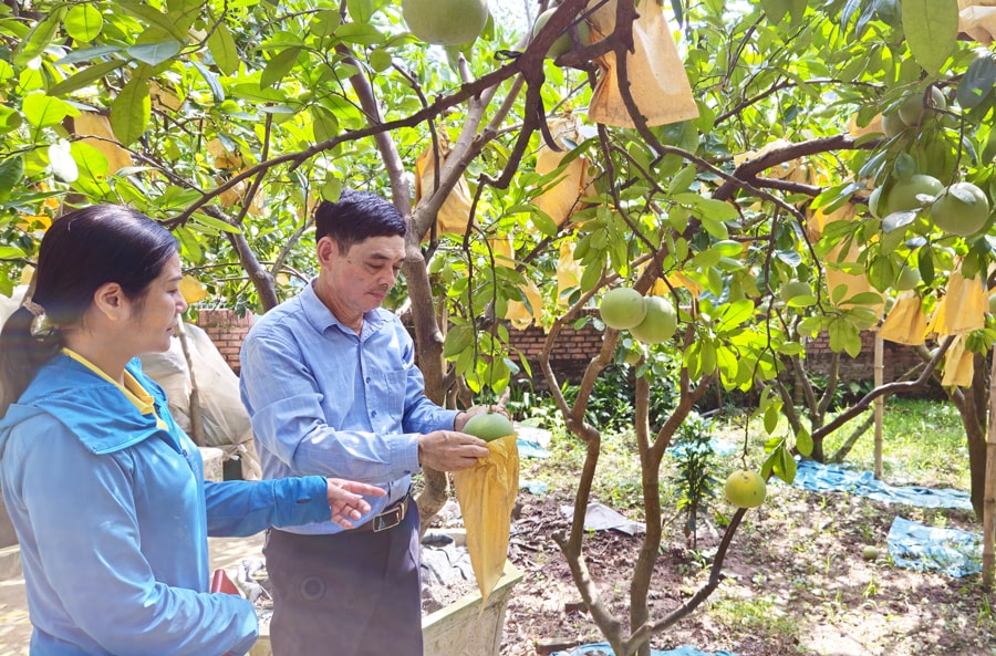 duong-hoa-san-xuat-nong-nghiep-gan-voi-bao-ve-moi-truong