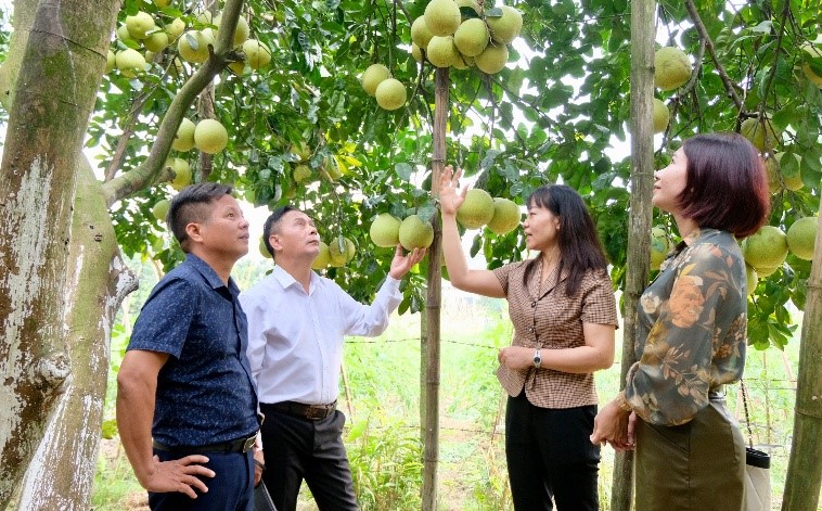 suc-bat-tu-tai-co-cau-nganh-nong-nghiep-tai-huyen-phuc-tho