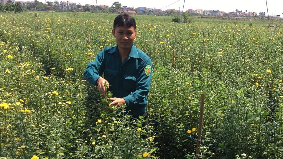 cho-phep-su-dung-dia-danh-tam-thuan-de-dang-ky-nhan-hieu-tap-the-hoa-tam-thuan