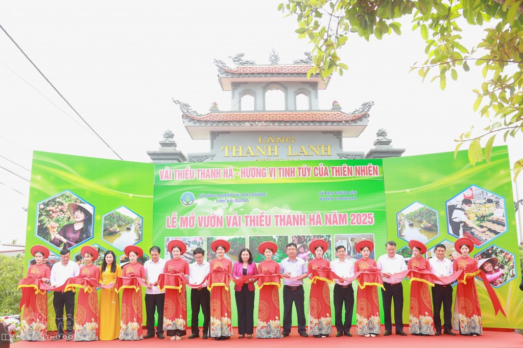 vai-thieu-thanh-ha-chinh-phuc-thi-truong-phap-uae-chau-phi-nam-my