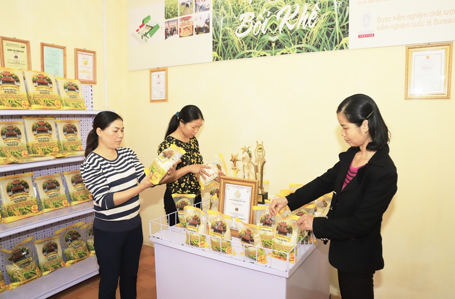 chia-khoa-vang-mo-rong-thi-truong-tieu-thu