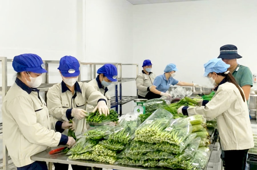 ha-noi-dot-pha-san-pham-ocop-tu-vung-chuyen-canh