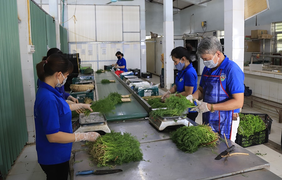 ha-noi-tang-toc-so-hoa-de-bao-dam-an-toan-thuc-pham