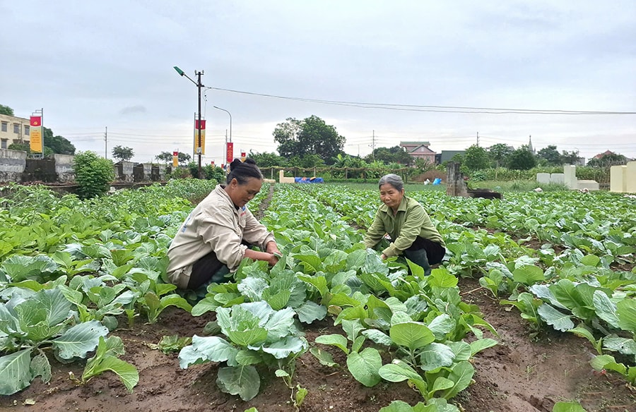 phuc-loc-don-suc-cho-vu-dong
