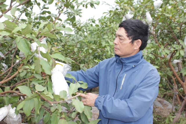 xa-duong-hoa-san-xuat-nong-nghiep-huu-co-giup-nong-dan-hanh-phuc