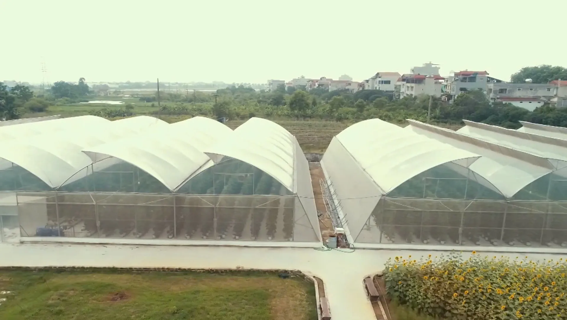 xa-thuong-tin-xay-dung-thuong-hieu-nong-san-chat-luong-cao