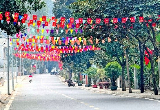 dien-mao-moi-o-xuan-son