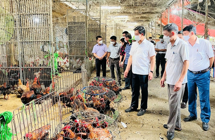 kiem-soat-nong-lam-thuy-san-bao-dam-an-toan-thuc-pham-tai-cho