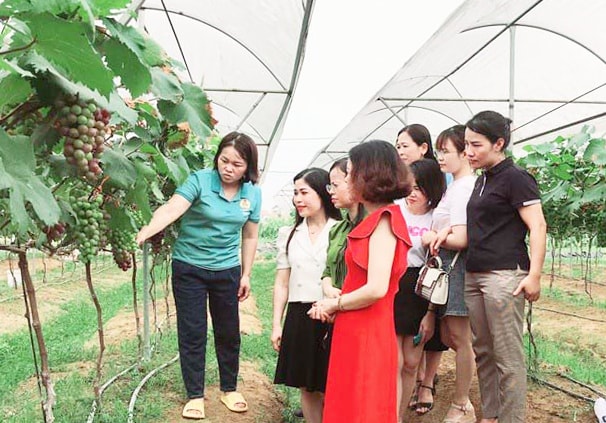 xay-dung-mo-hinh-nong-nghiep-moi-than-thien-moi-truong