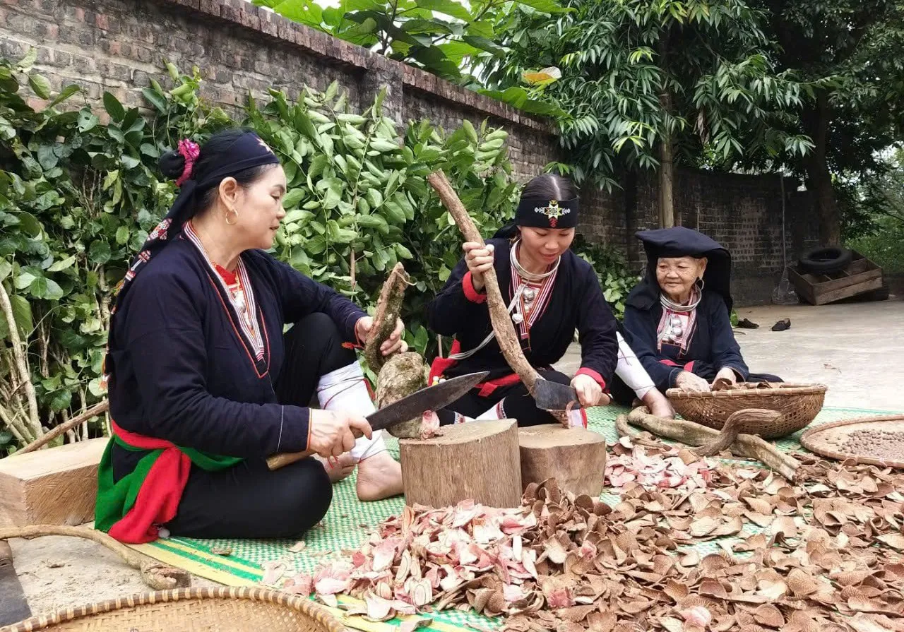 ha-noi-phat-trien-duoc-lieu-gan-voi-sinh-ke