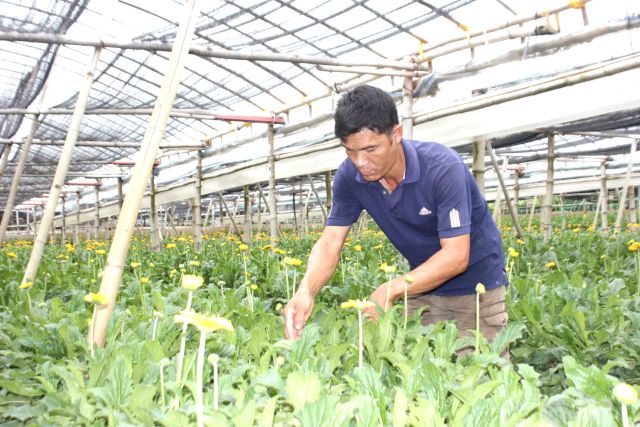 ha-noi-gia-tang-gia-tri-san-xuat-nong-nghiep-tu-san-pham-hoa-dong-tien-dat-ocop-3-sao