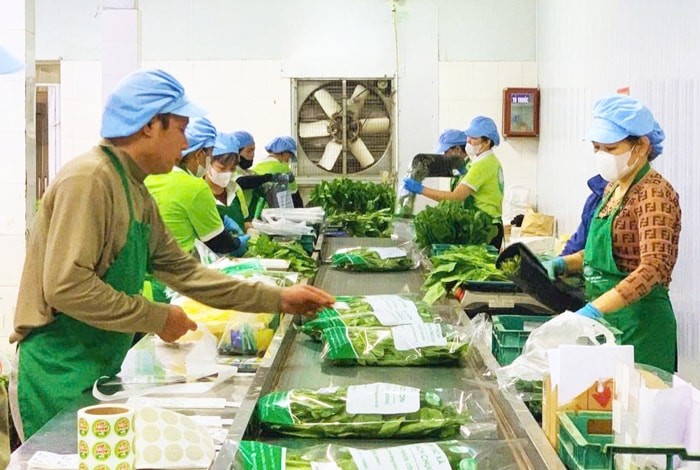 thuc-day-chuyen-doi-so-trong-chuong-trinh-ocop-cua-thu-do