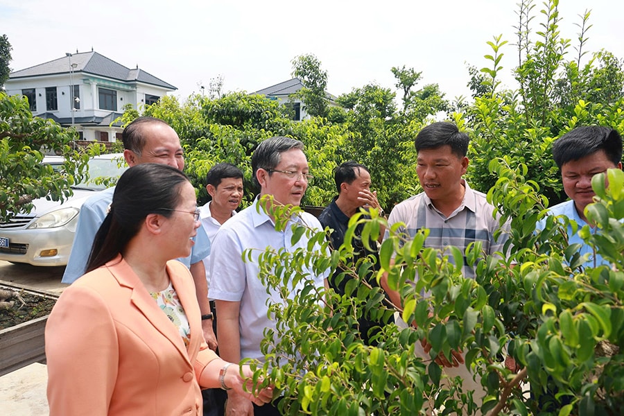 xay-dung-cac-chi-hoi-nong-dan-gan-voi-the-manh-tung-dia-phuong