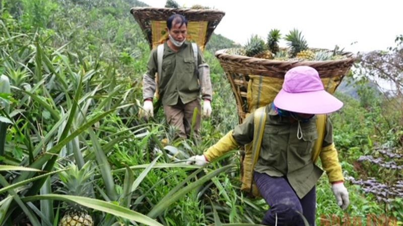 dua-viet-nam-rong-duong-xuat-ngoai-can-chien-luoc-bai-ban-de-can-moc-ty-usd