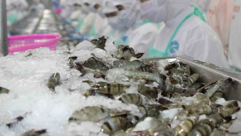 nganh-thuy-san-huong-toi-muc-tieu-10-ty-usd-trong-nam-2025