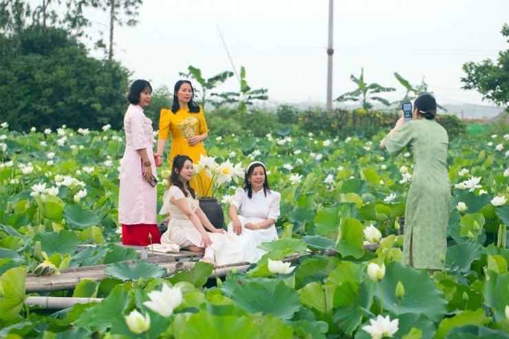 xa-chuyen-my-ha-noi-da-dang-hoa-san-pham-nang-cao-gia-tri-cho-cay-sen