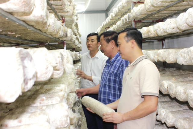 ha-noi-chu-the-ocop-chu-dong-nang-cao-chat-luong-tao-su-khac-biet-chiem-linh-thi-truong-ngach