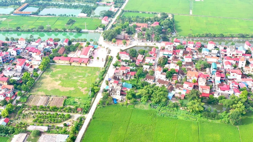 ung-hoa-sang-xanh-nho-cac-phong-trao-thiet-thuc
