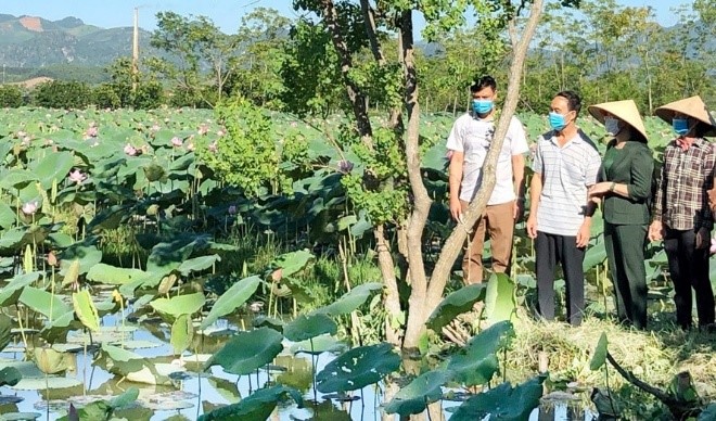 cho-phep-su-dung-dia-danh-de-dang-ky-nhan-hieu-sen-an-phu