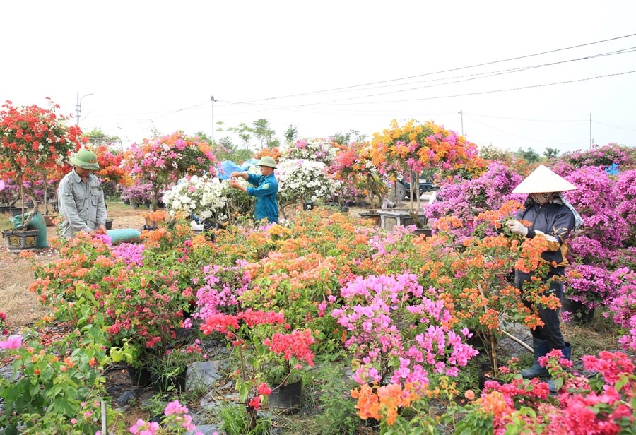 phat-trien-nong-nghiep-xanh-sinh-thai-giai-toa-vuong-mac-ve-chinh-sach
