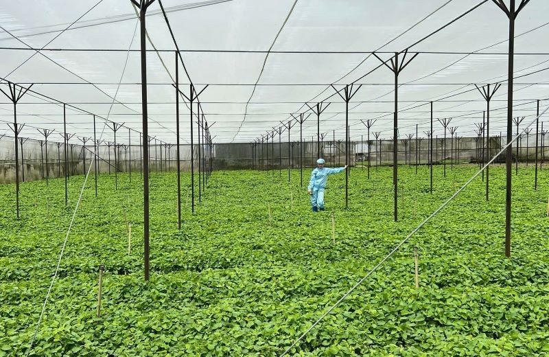 cong-nghe-va-chuyen-doi-so-la-be-phong-de-eherbal-nang-tam-san-pham-ocop