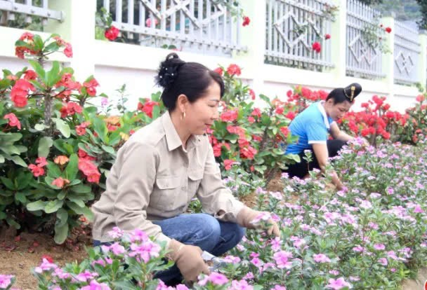 nha-sach-vuon-dep-to-diem-cho-khong-gian-song-cac-gia-dinh-tinh-son-la