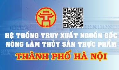 truy-xuat-nguon-goc-hn